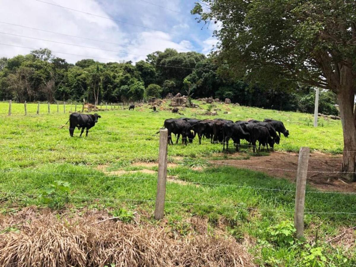 Sitio No Interior De Sp Para Curtir A Natureza Агуас да Прата Екстериор снимка